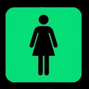 NIGHT SIGNS - Luminous Ladies Loo Sign