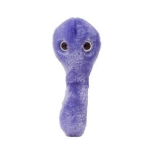 The SuperBugs Range C-Diff