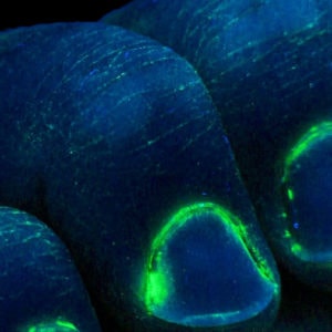 UV GERM Training lotion - close up